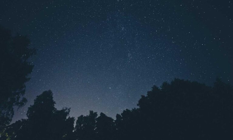 advantages of meetshaxs software