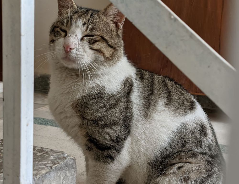 baseball terms sffarebaseball