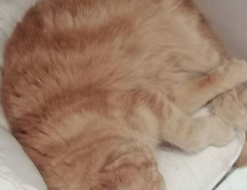 fix code susbluezilla