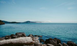 how zillexit software can be stored safely