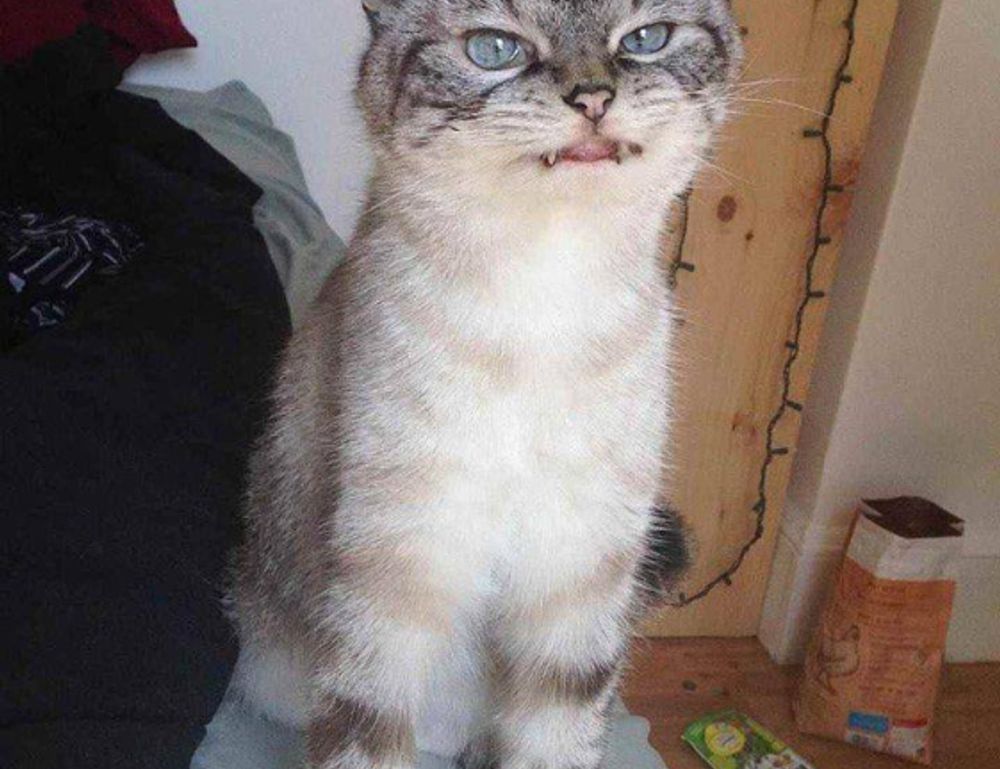 results yesterday sffarebaseball