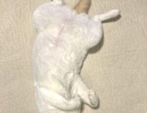 sffaresports game results 2022