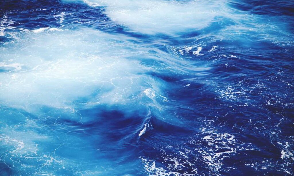 sffaresports game results by sportsfanfare