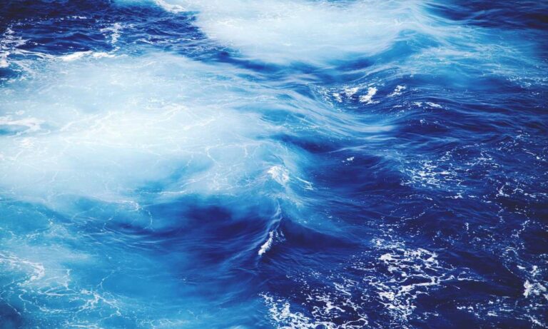 sffaresports game results by sportsfanfare