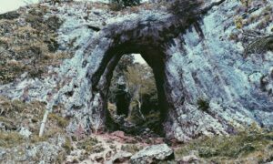 software bug llusyep python