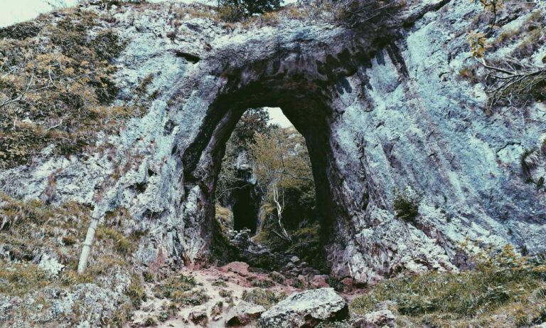 software bug llusyep python