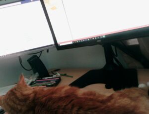 software dowsstrike2045 python update