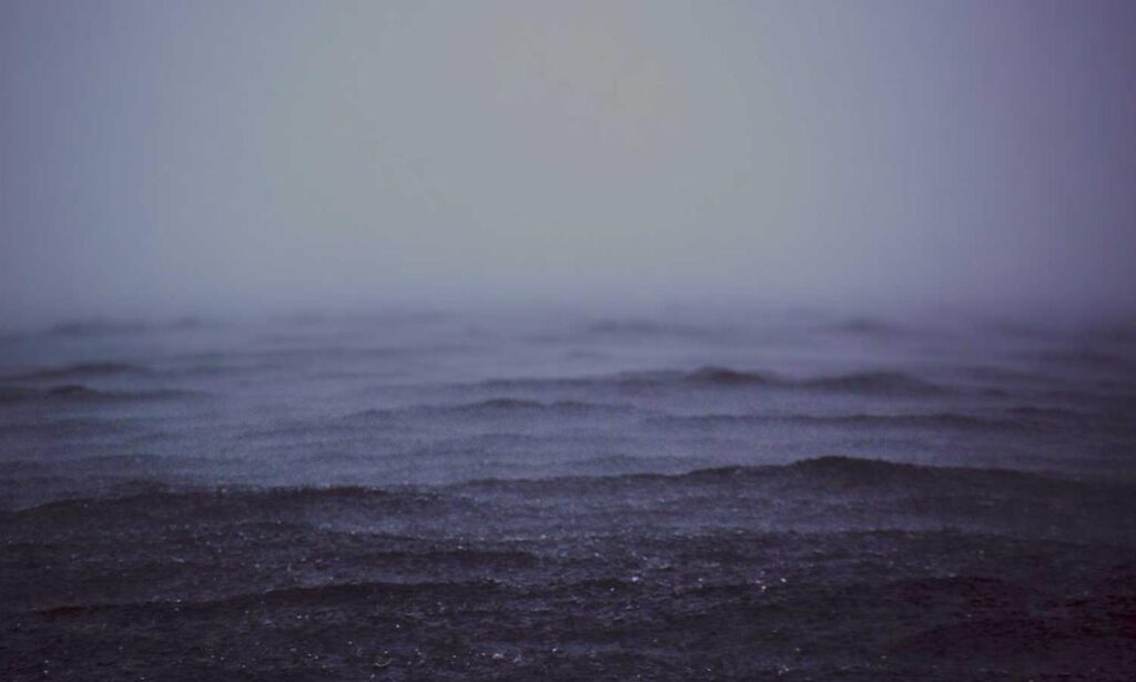 upcoming fixtures sffareboxing