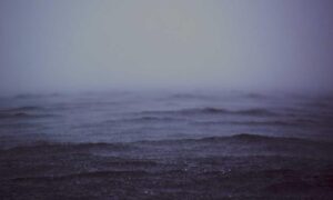 upcoming fixtures sffareboxing