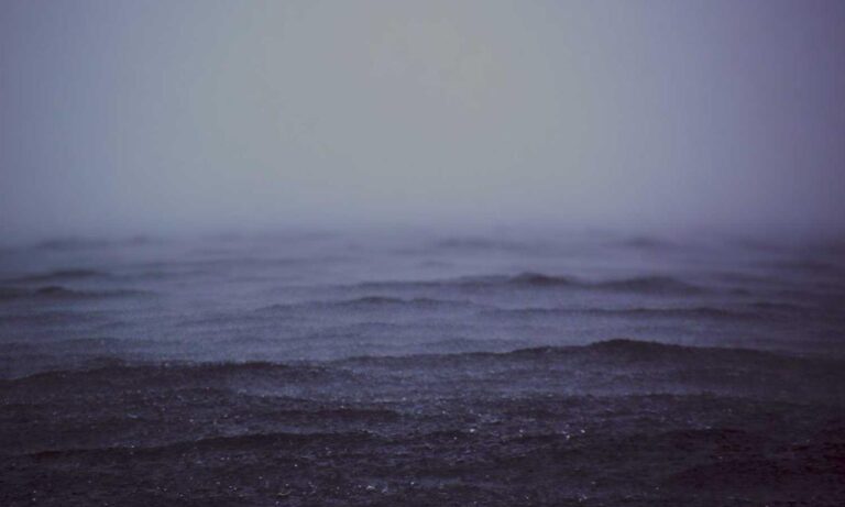 upcoming fixtures sffareboxing