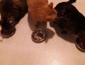 yex382v3yte air conditioner