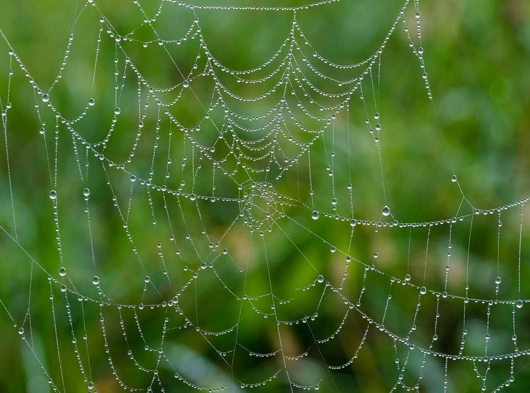 Navigating the Web with Confidence